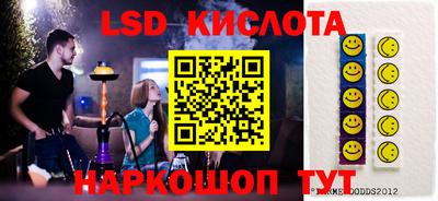 винт Славгород