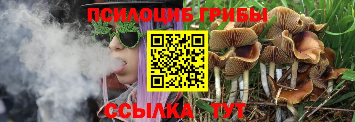 Псилоцибиновые грибы GOLDEN TEACHER Сосновый Бор