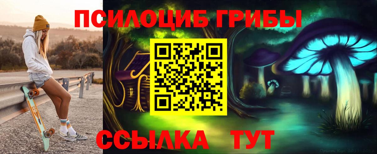 Сосновый Бор  Галлюциногенные грибы Magic Shrooms  Вход с VPN 