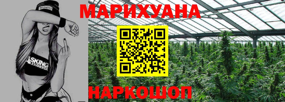 Каннабис White Widow Сосновый Бор